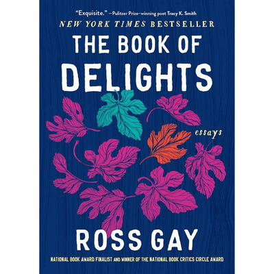 Sampul The Book of Delights